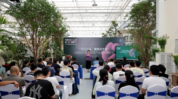 配资网上开户 肥西：云南鲜花“直通”中部花木城_大皖新闻 | 安徽网