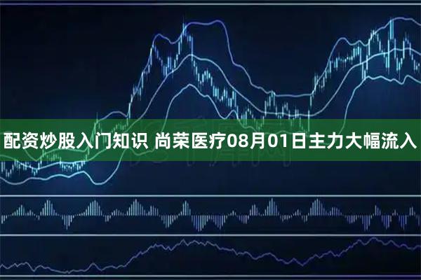 配资炒股入门知识 尚荣医疗08月01日主力大幅流入